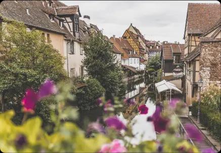 Vue pittoresque de haut-rhin, idéale pour un événement