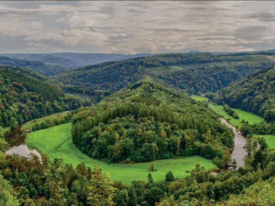 Vue pittoresque de ardennes, idéale pour un événement
