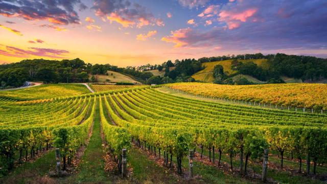 Vue pittoresque de gironde, idéale pour un événement