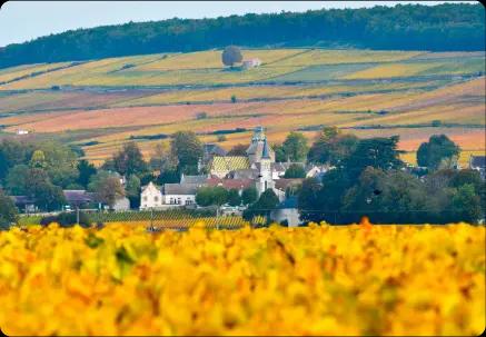 Vue pittoresque de cote-dor, idéale pour un événement